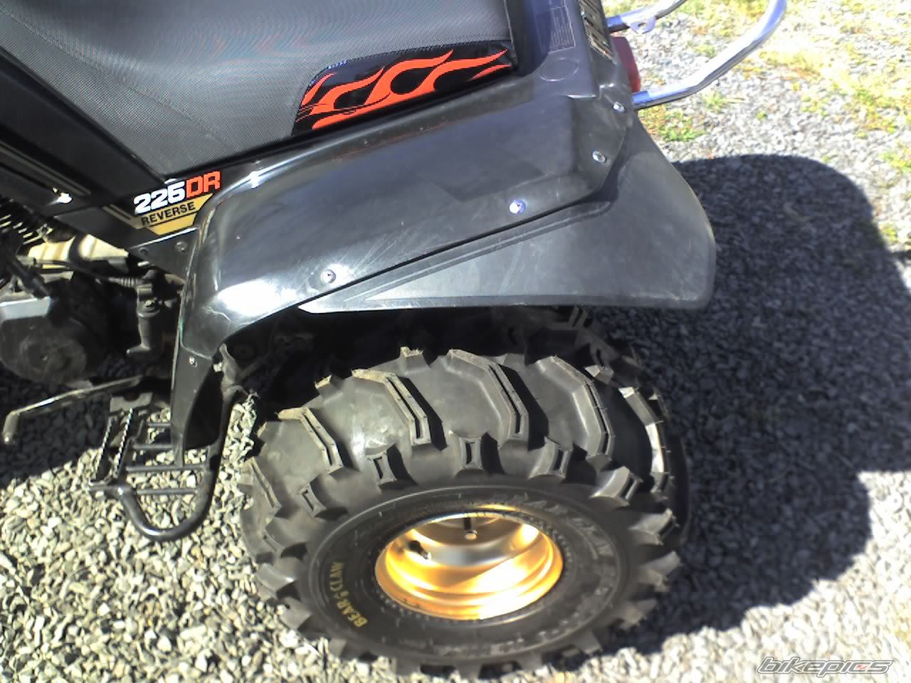 Photo 1403506