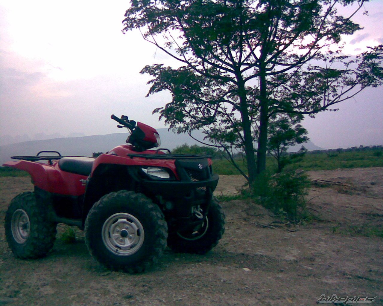 Photo 1405879