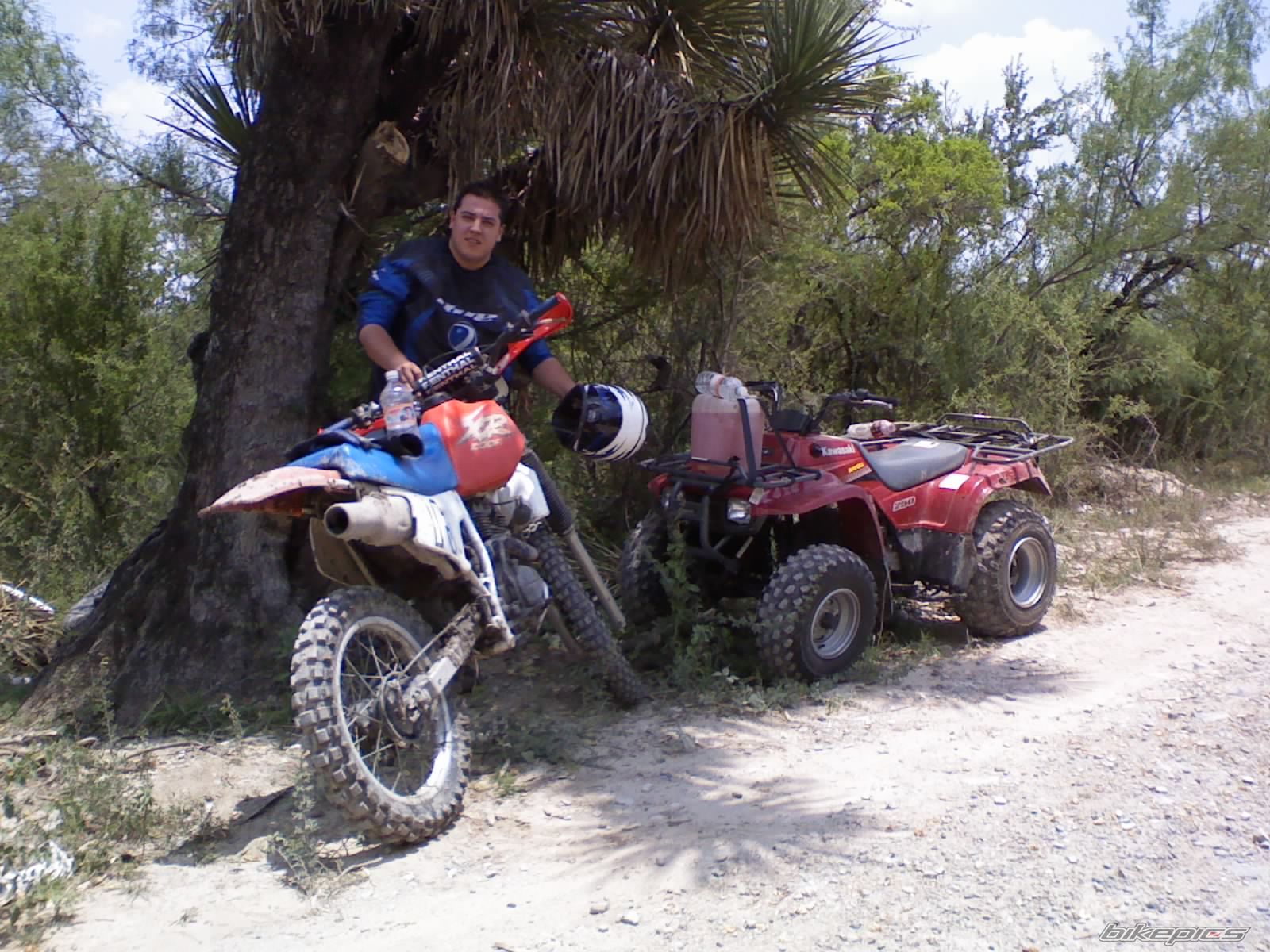 Photo 1405882