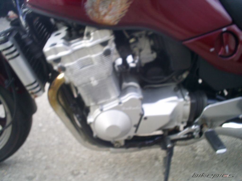 Photo 1407233