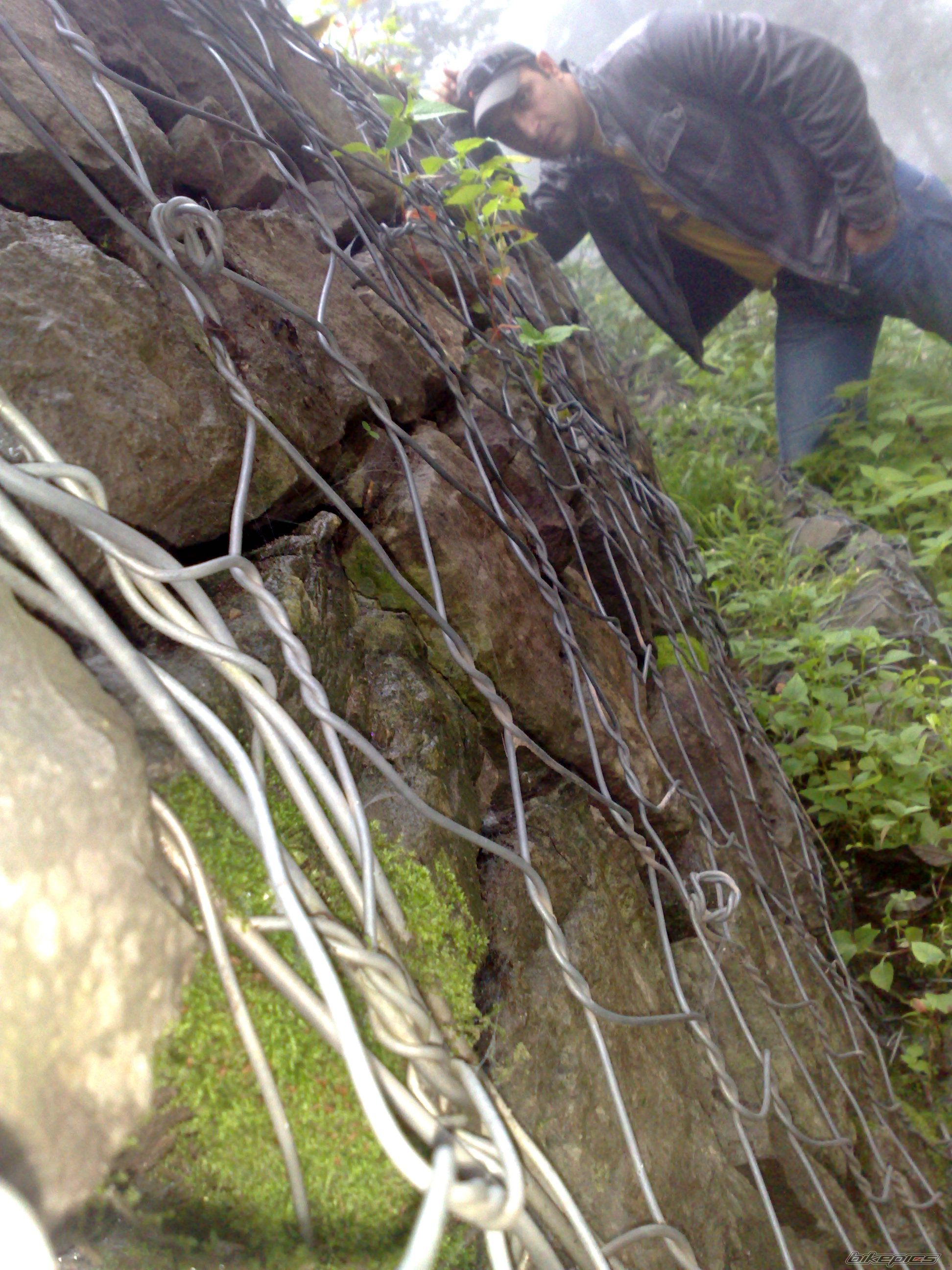 Photo 1407605