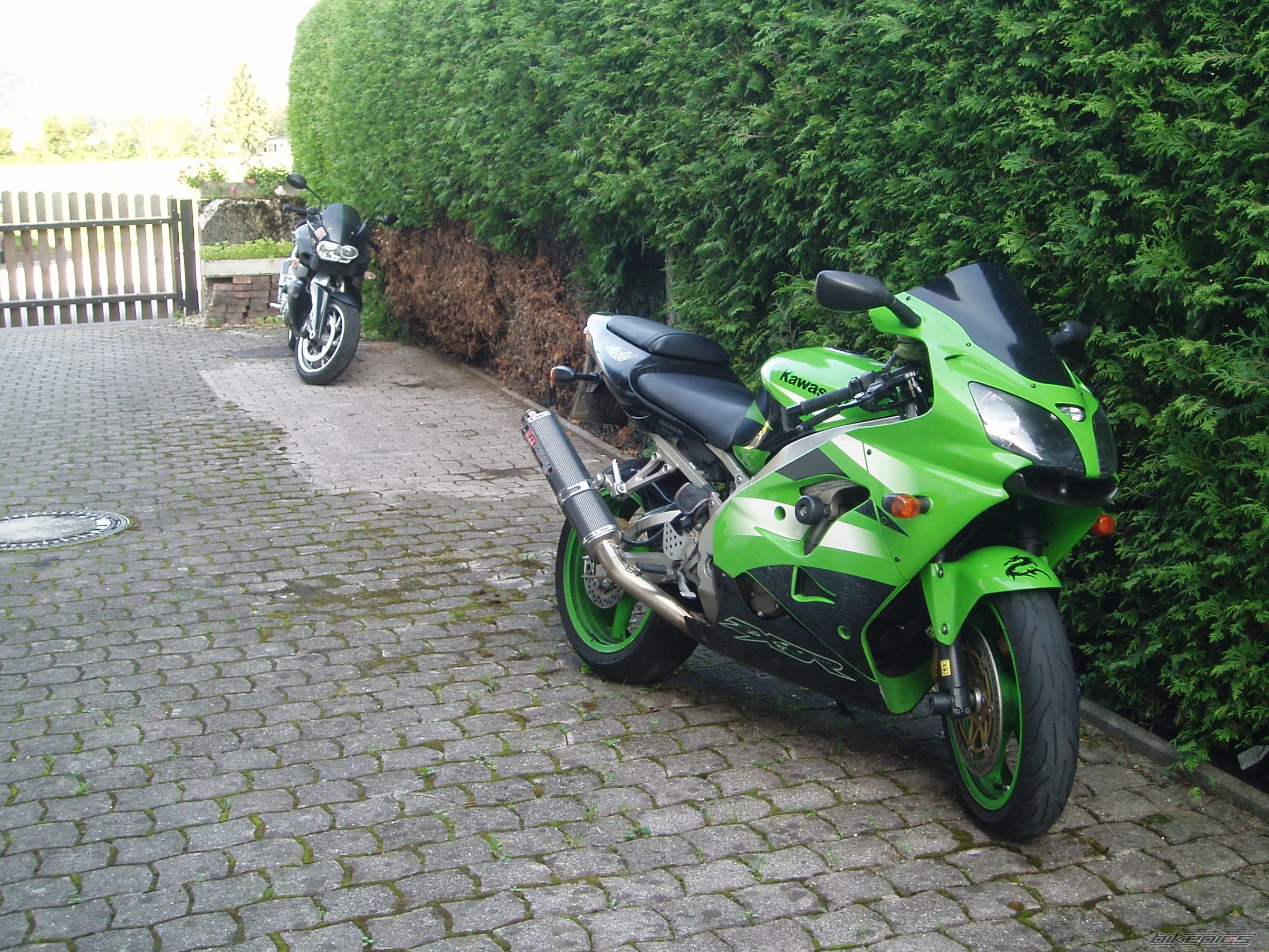 Photo 1410714