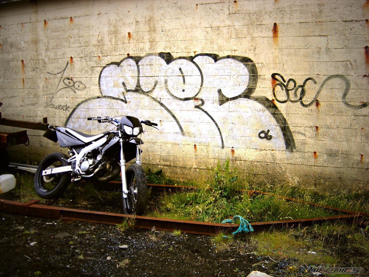Photo 1411284