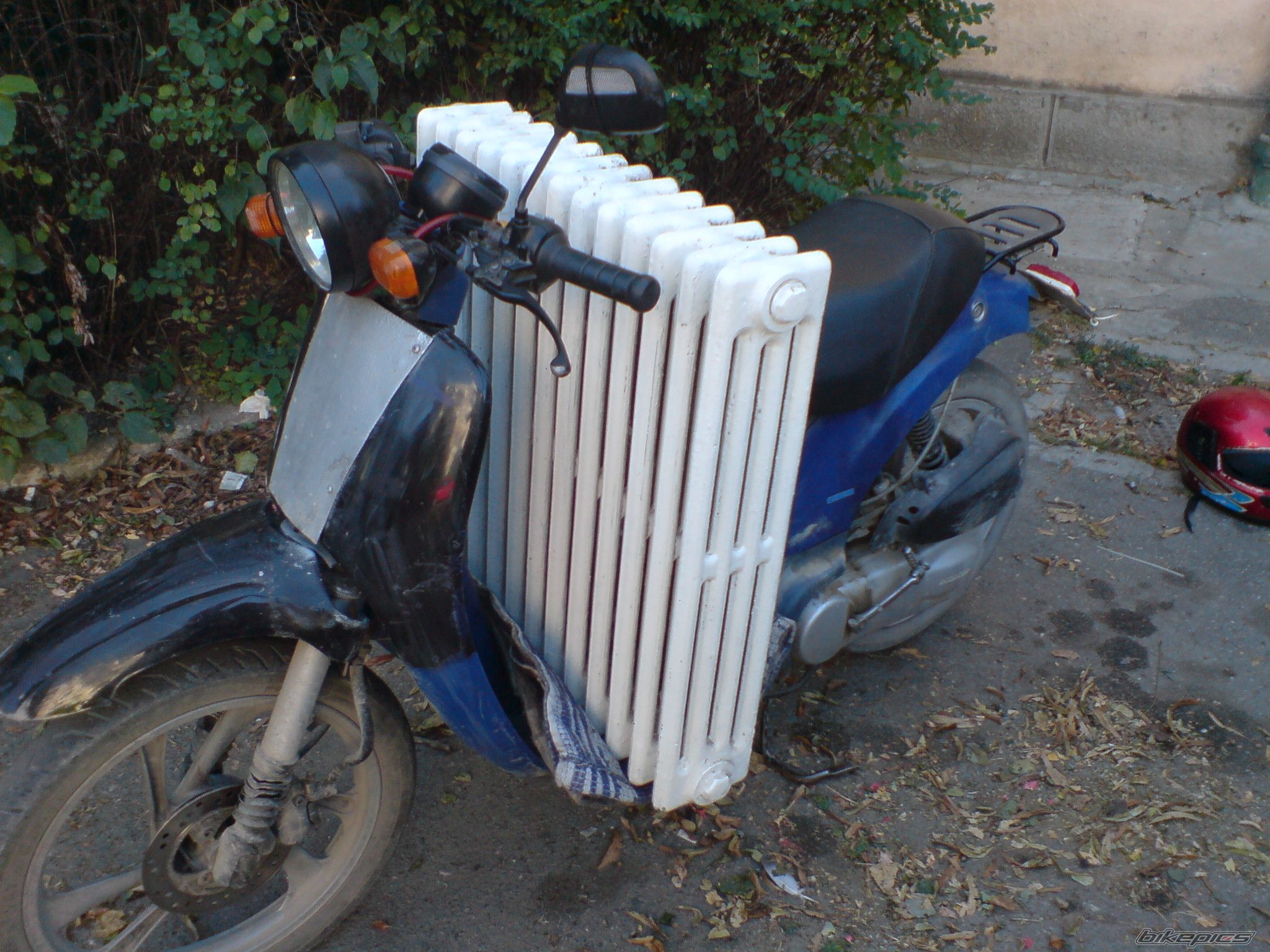 Photo 1412002