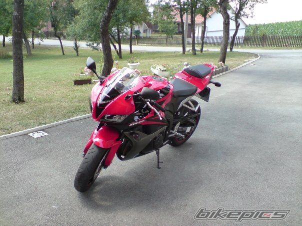 Photo 1412392