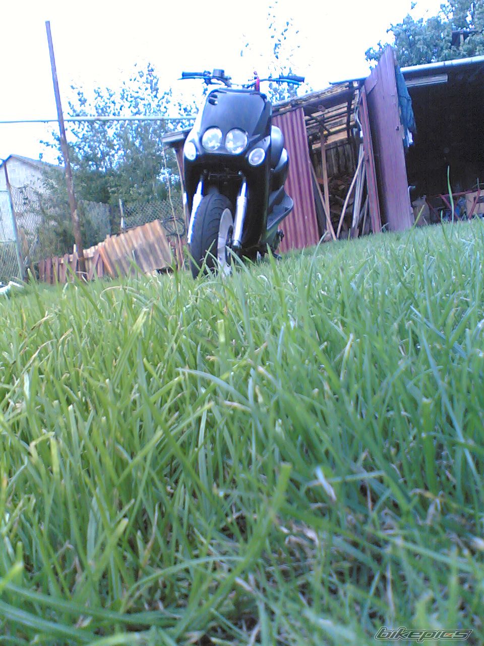 Photo 1412534