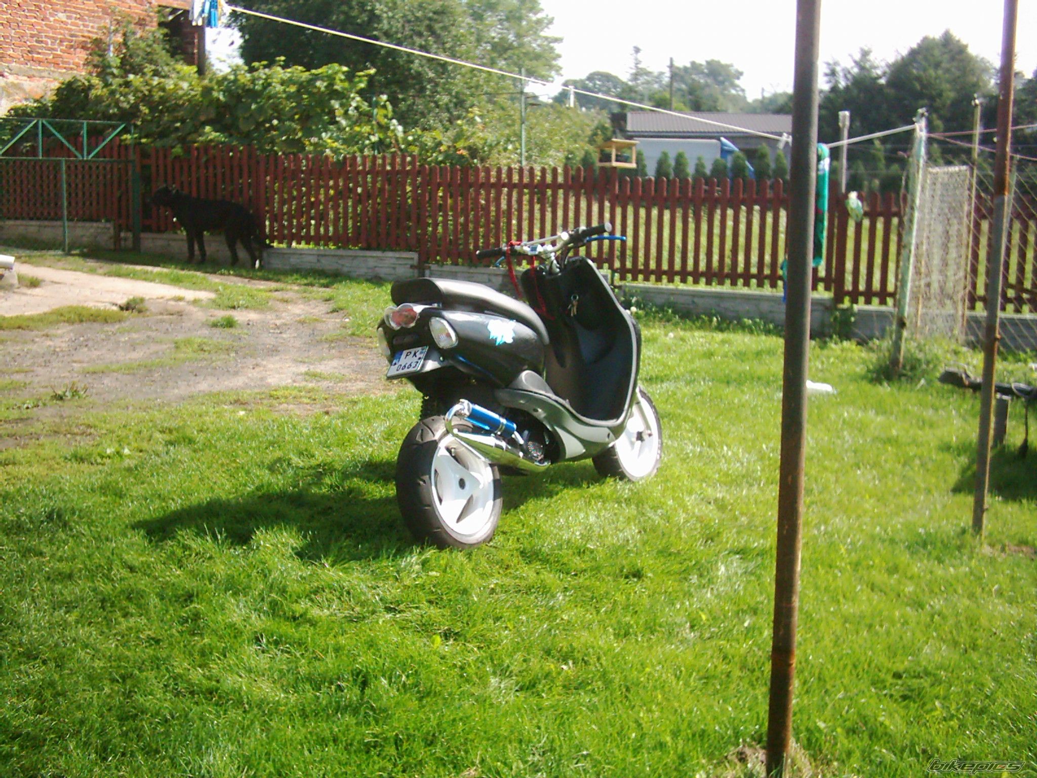 Photo 1412549
