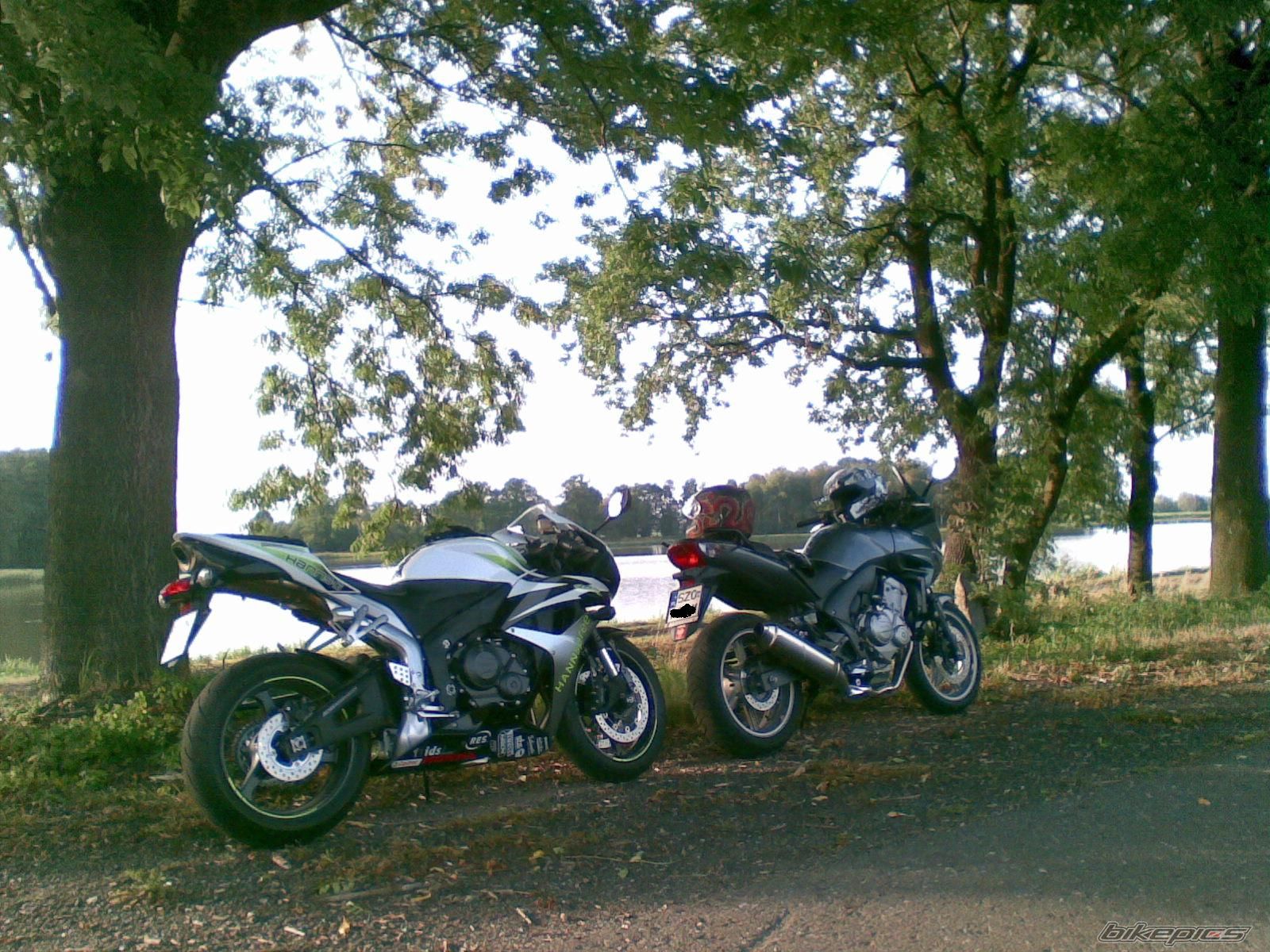 Photo 1413044