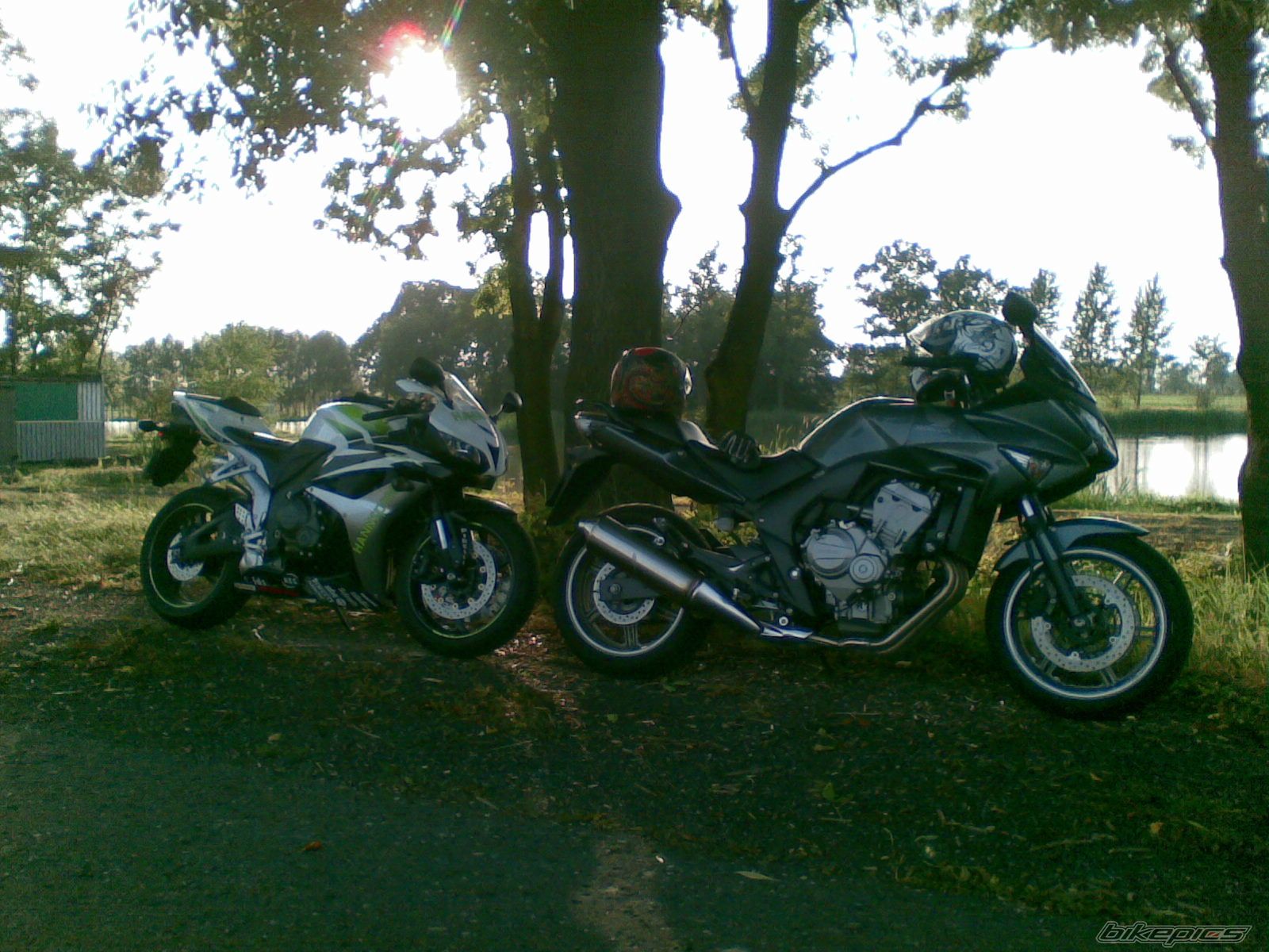 Photo 1413047