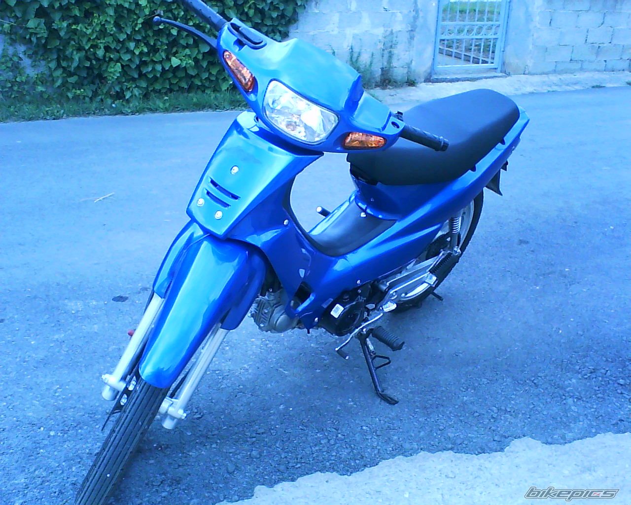 Photo 1413409