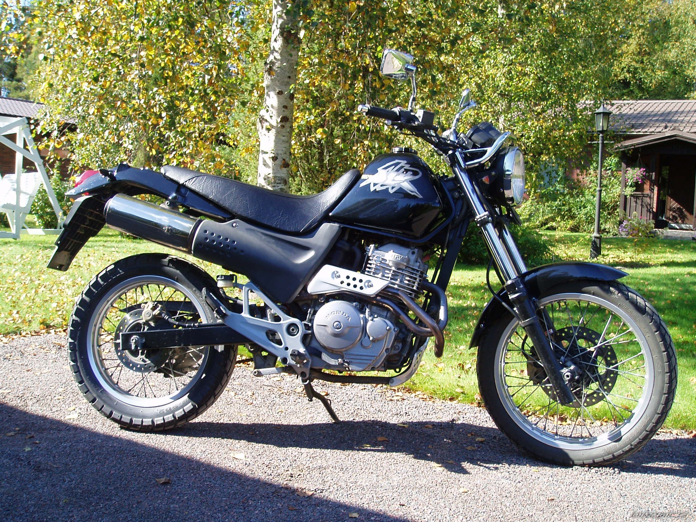 Bike Photo 1413784