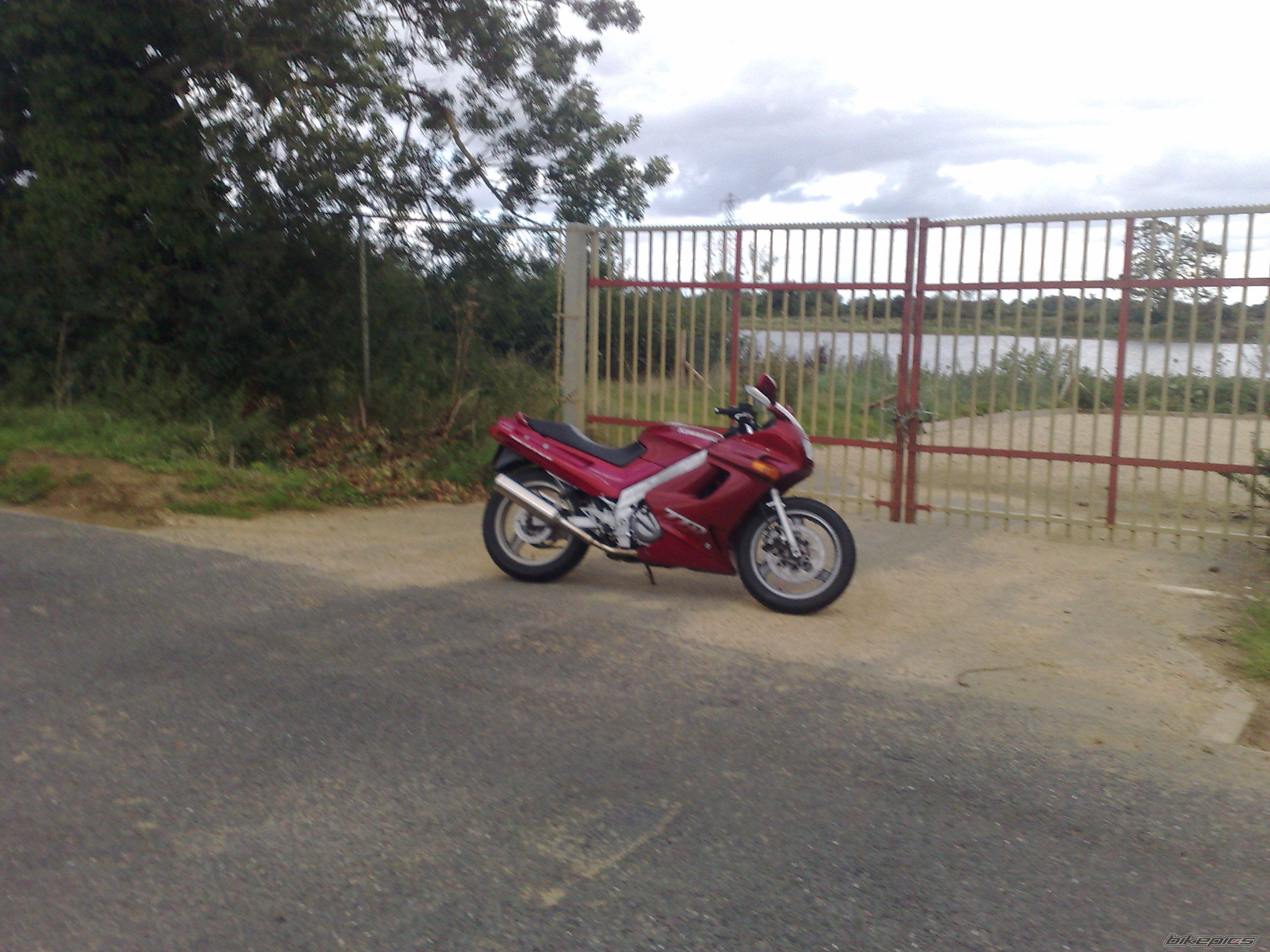 Photo 1414140