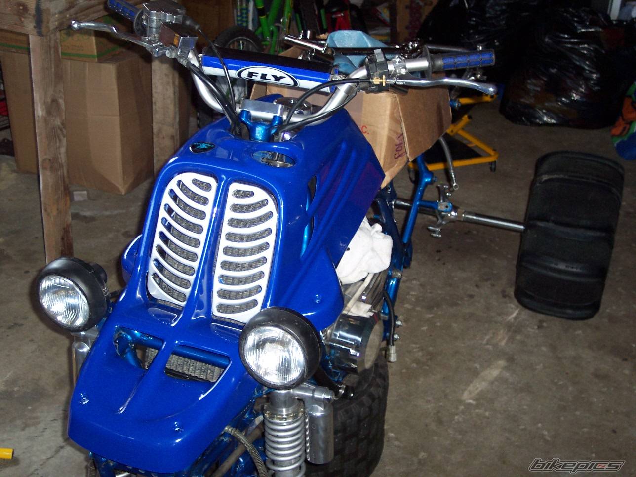 Photo 141432