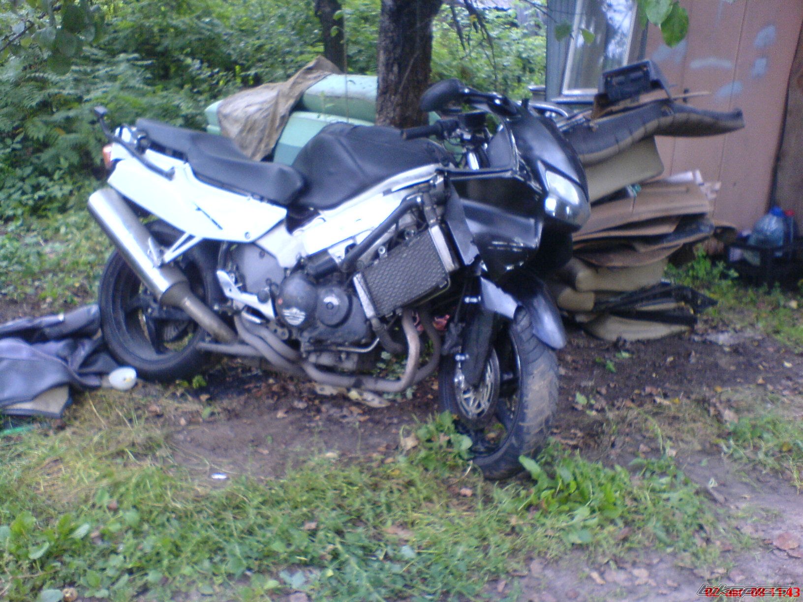 Photo 1414527