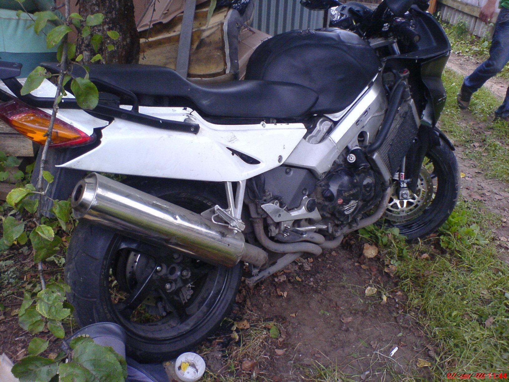 Photo 1414531