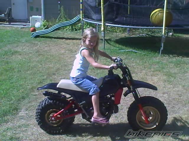 Photo 1417421