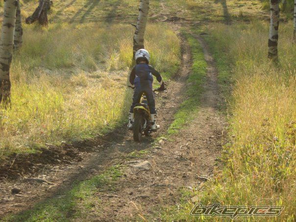 Photo 1420737
