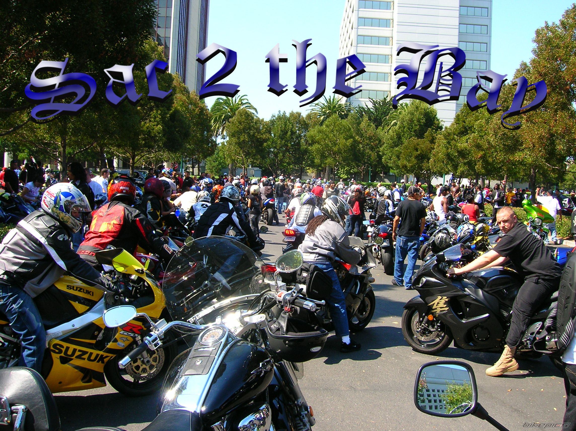 Photo 1422157