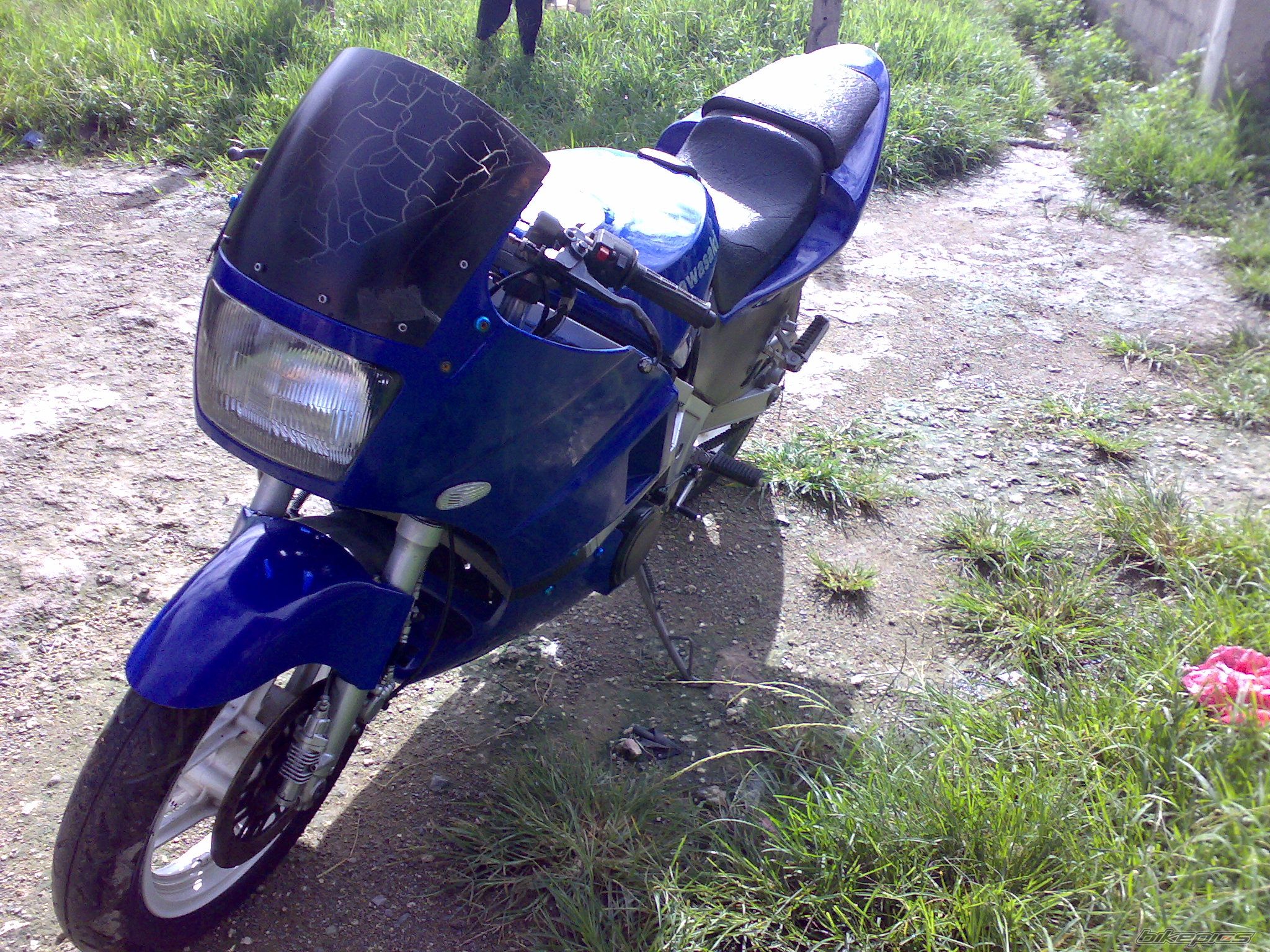 Photo 1422425