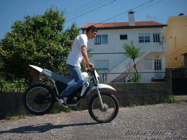 Photo 142260