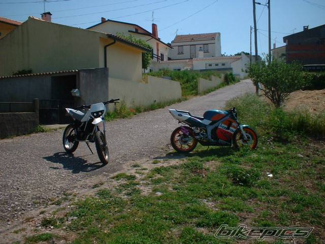 Photo 142275