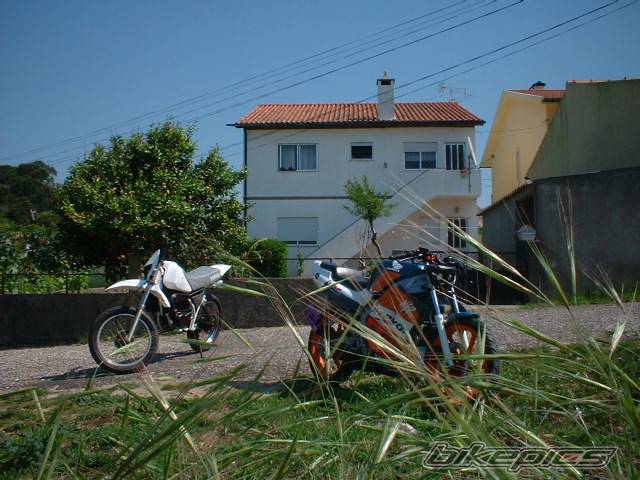 Photo 142277