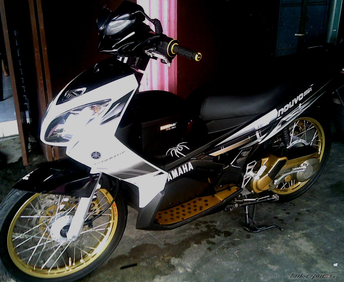 Photo 1423323