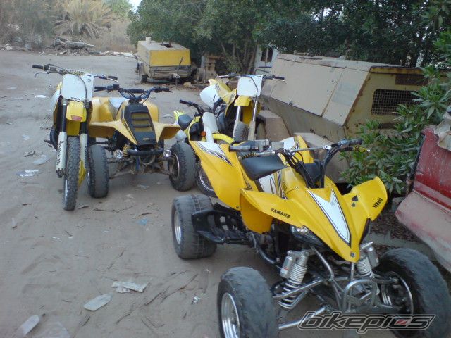 Photo 1424153