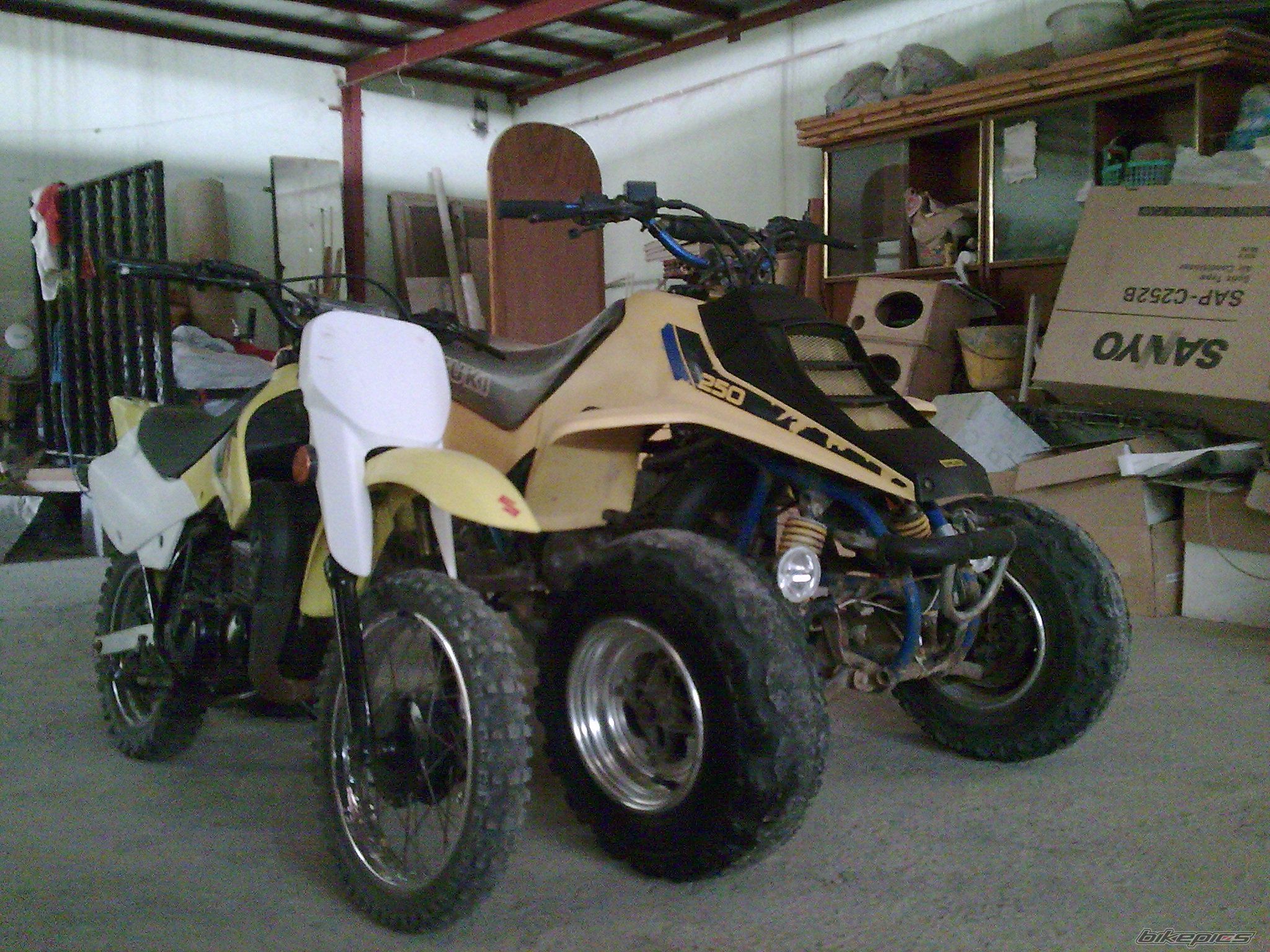 Photo 1424158