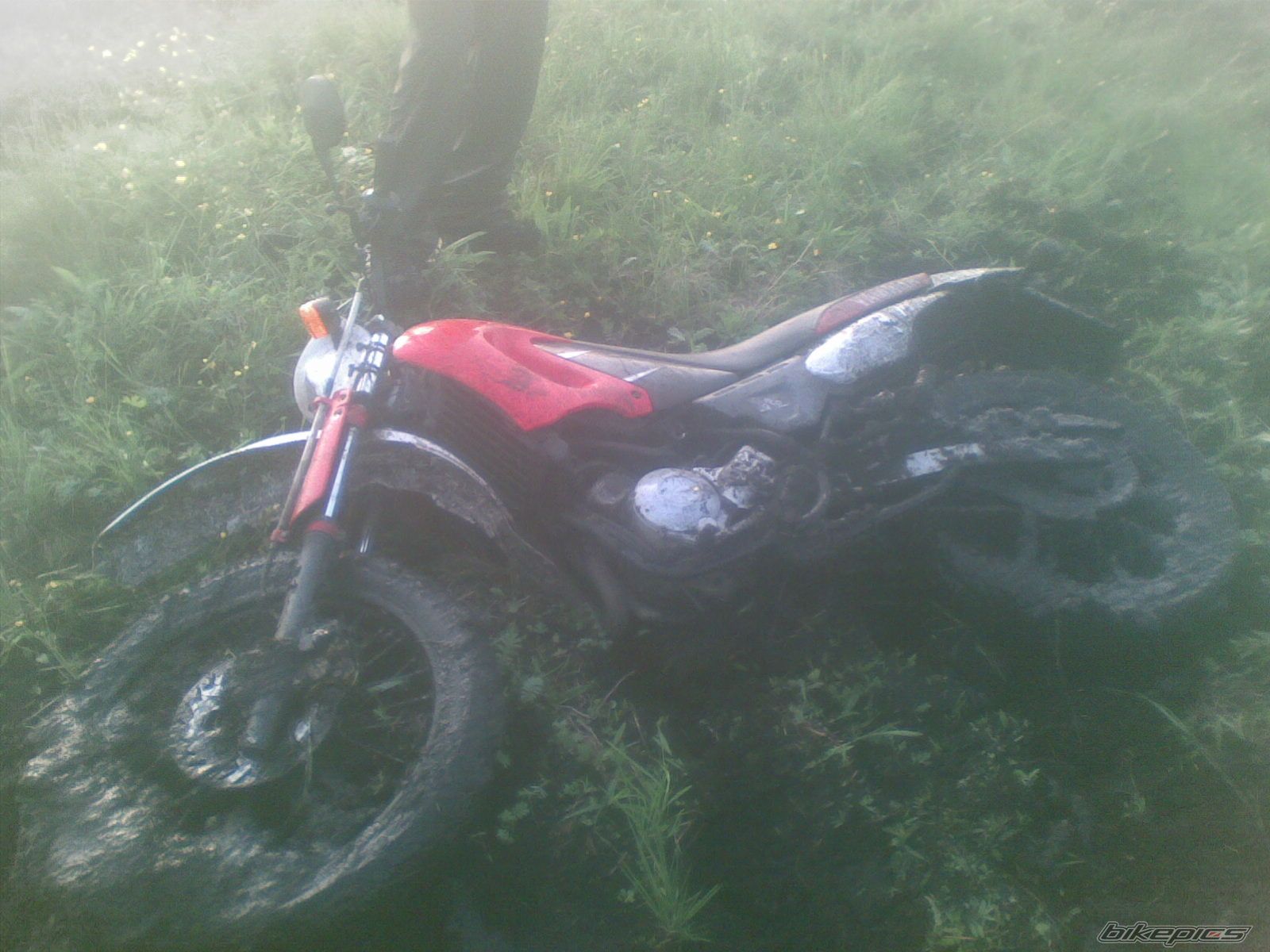 Photo 1425028