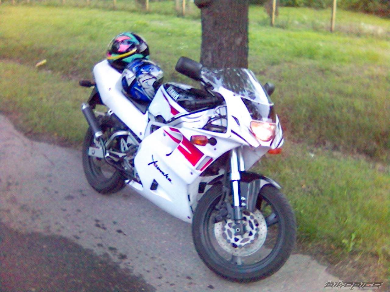 Photo 1425564