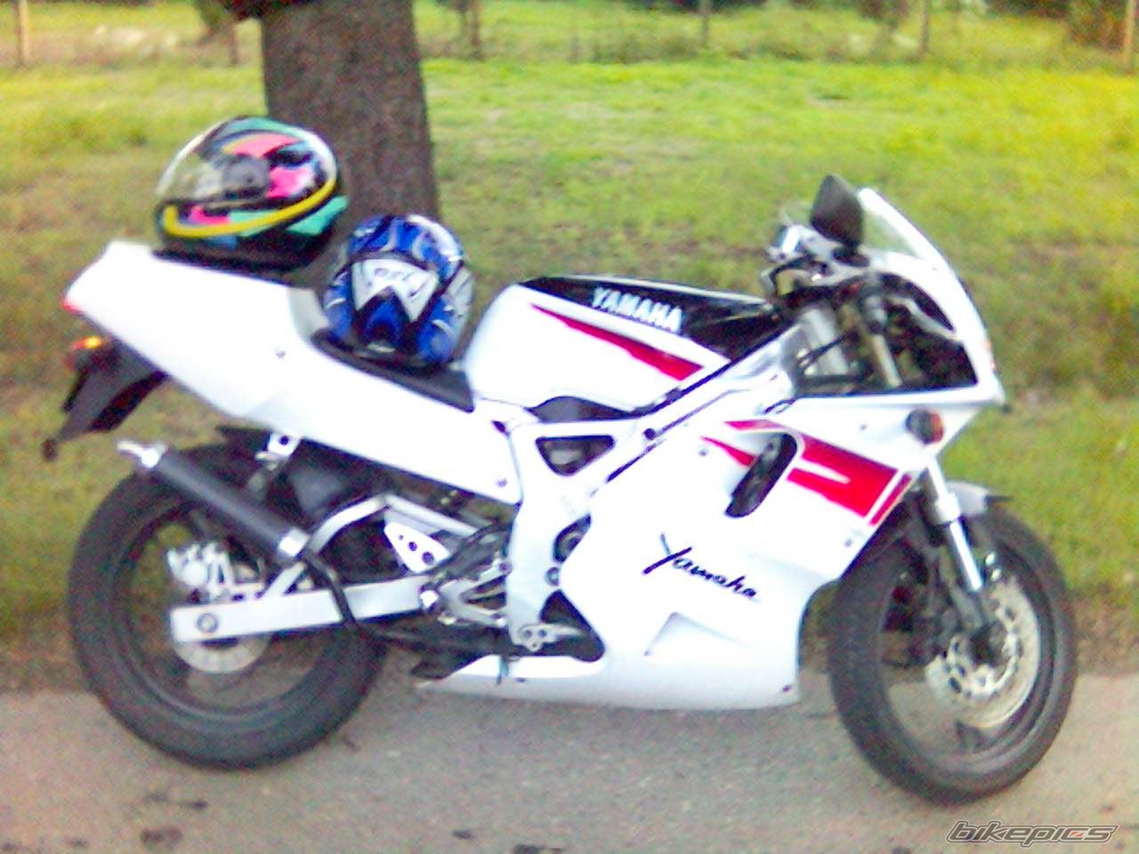 Photo 1425567