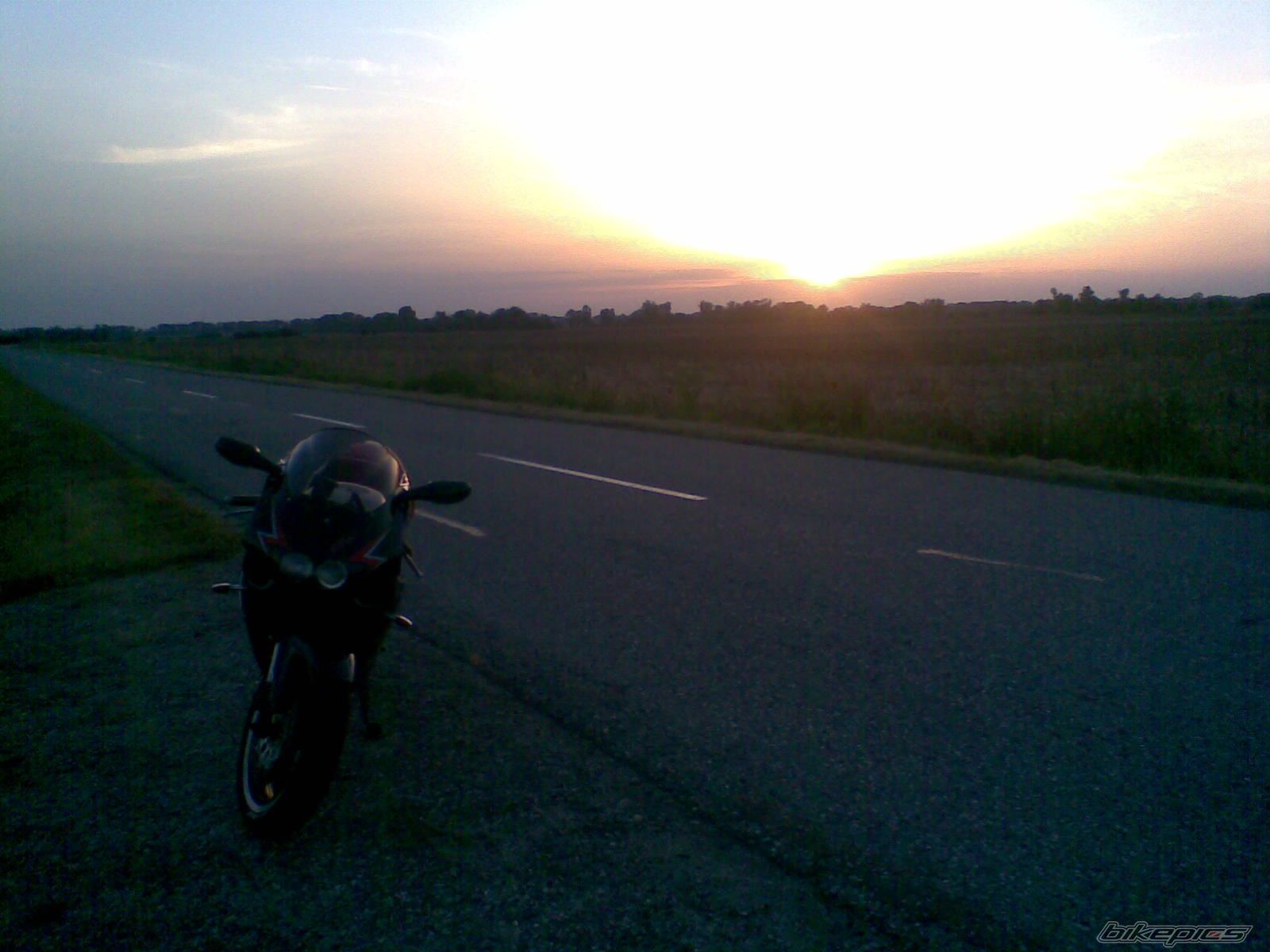 Photo 1425939