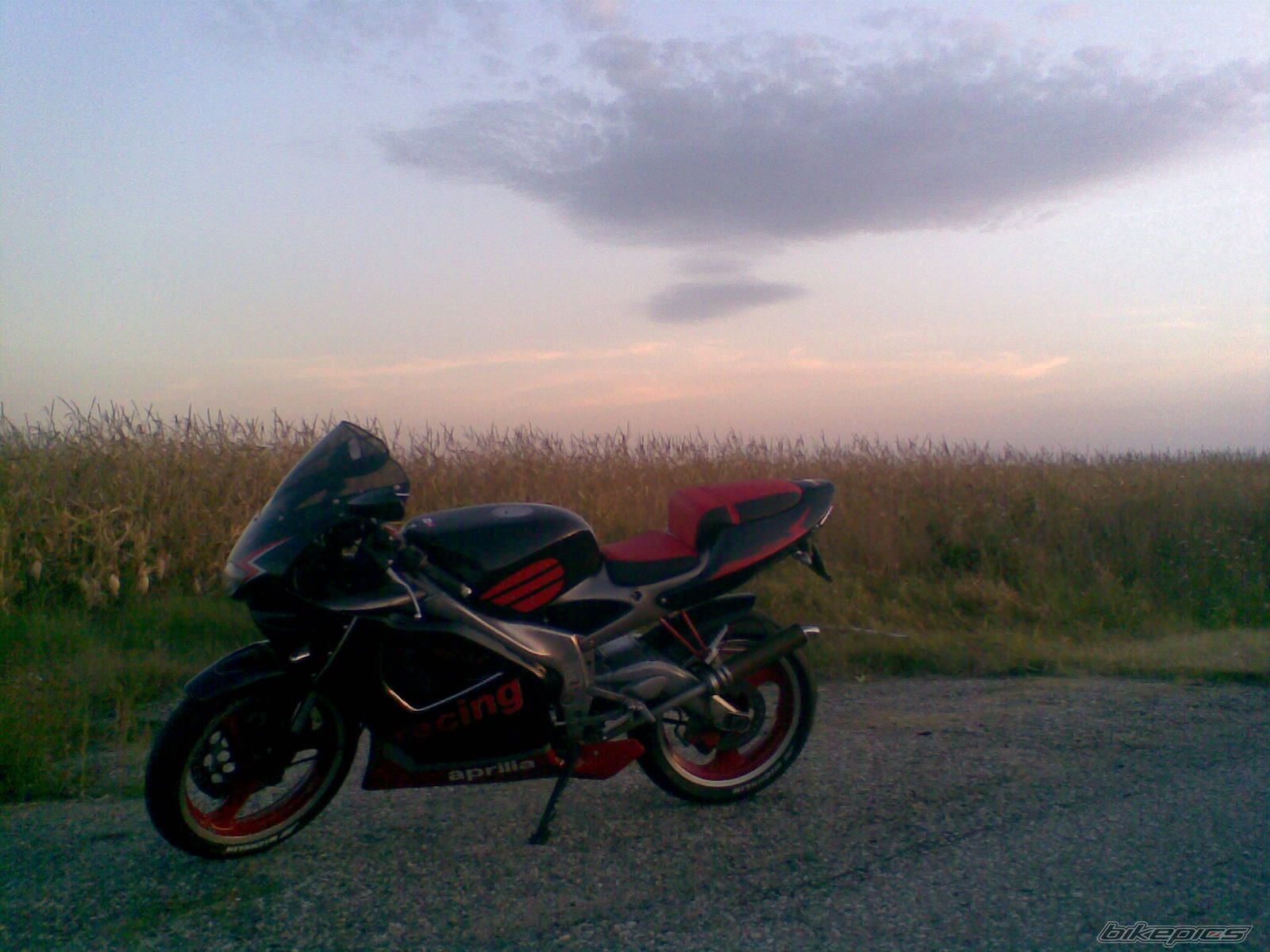 Photo 1425944