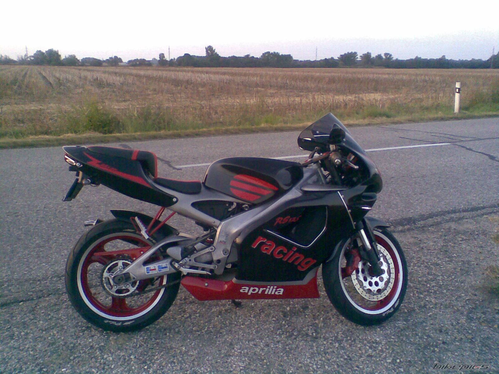Photo 1425946