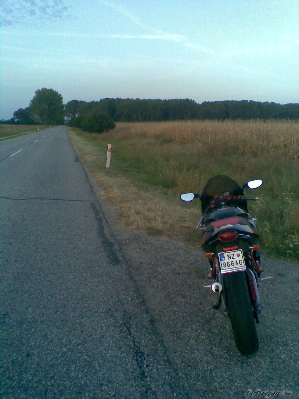 Photo 1425948
