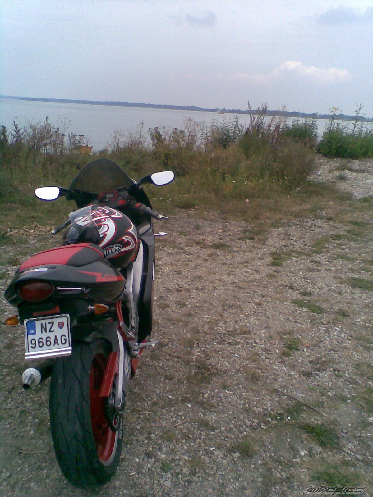 Photo 1425951