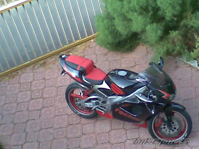 Photo 1425959