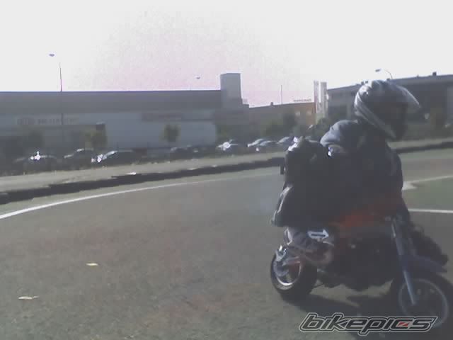 Photo 1427910