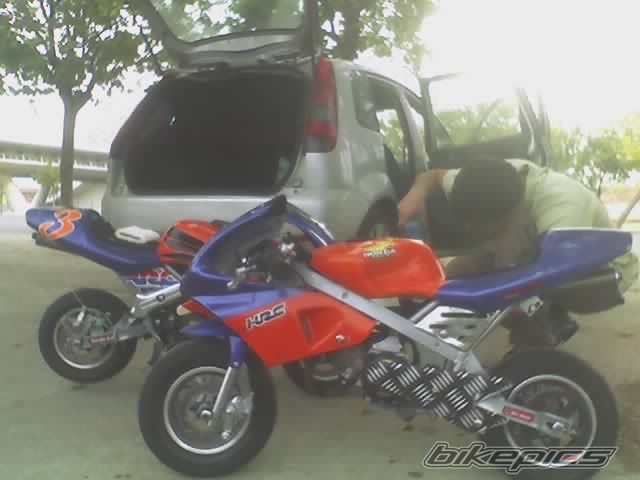 Photo 1427919