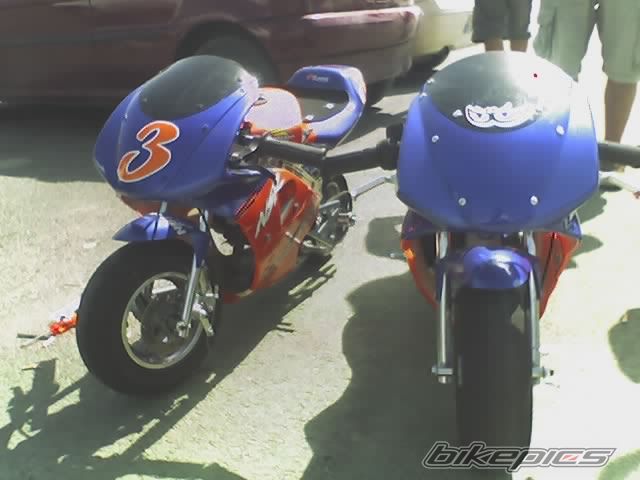 Photo 1427927