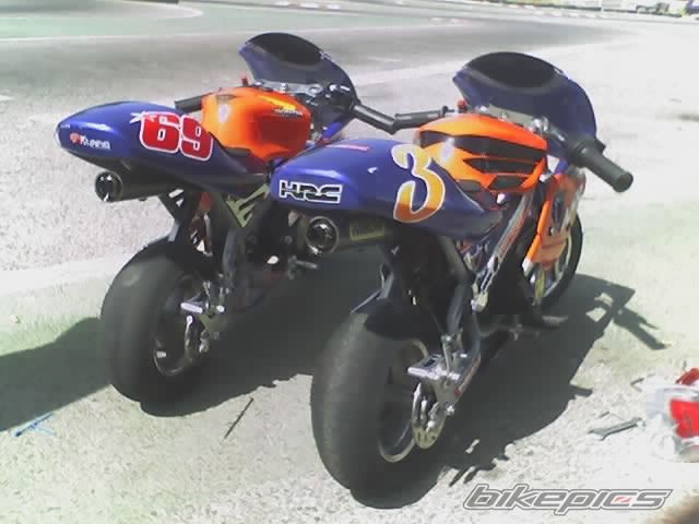 Photo 1427947