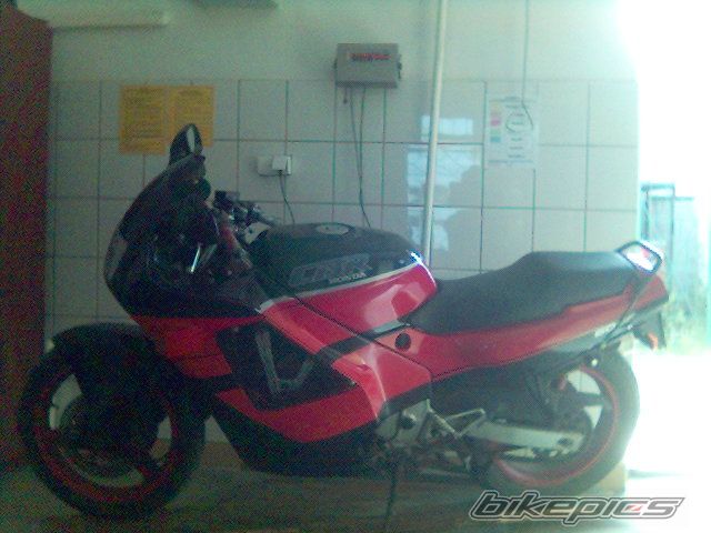 Photo 1429204