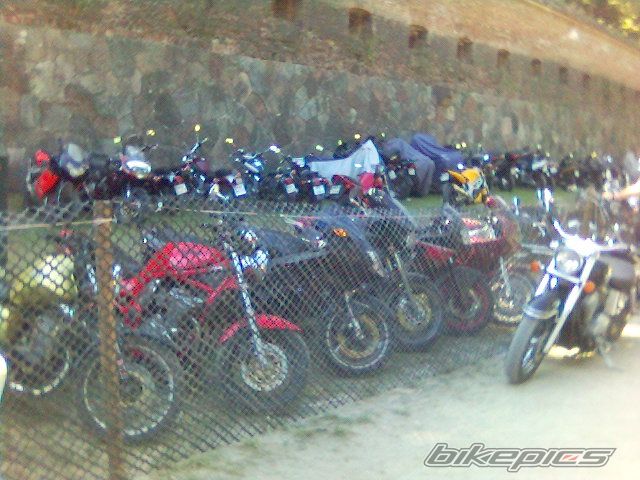 Photo 1429207