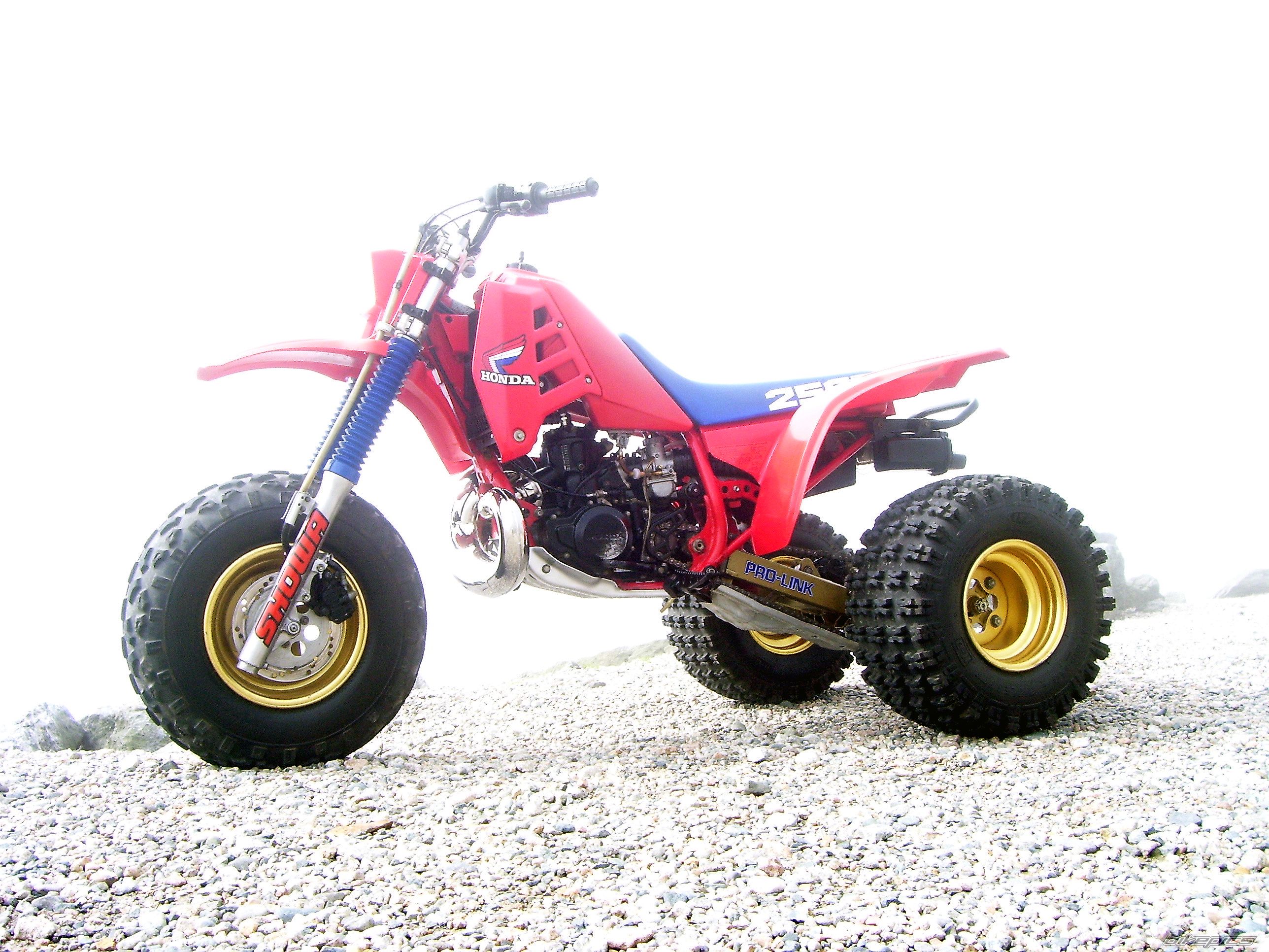Bike Photo 1429441
