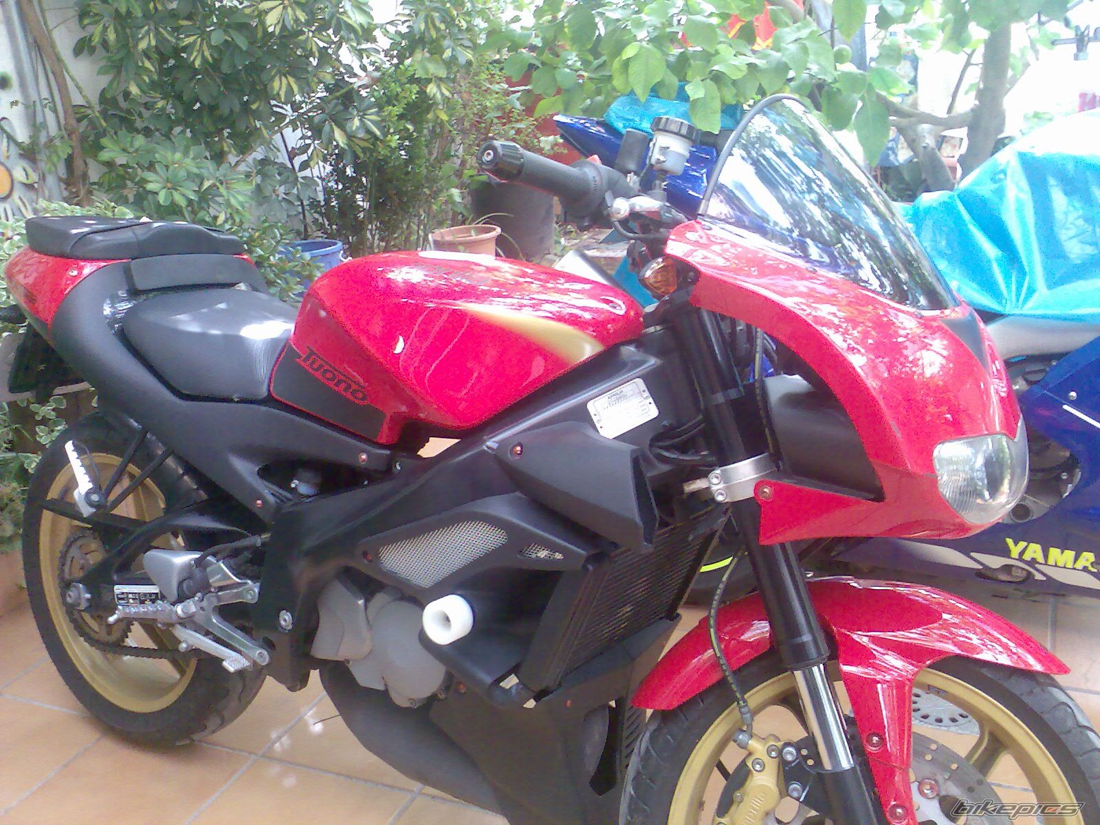 Bike Photo 1429717