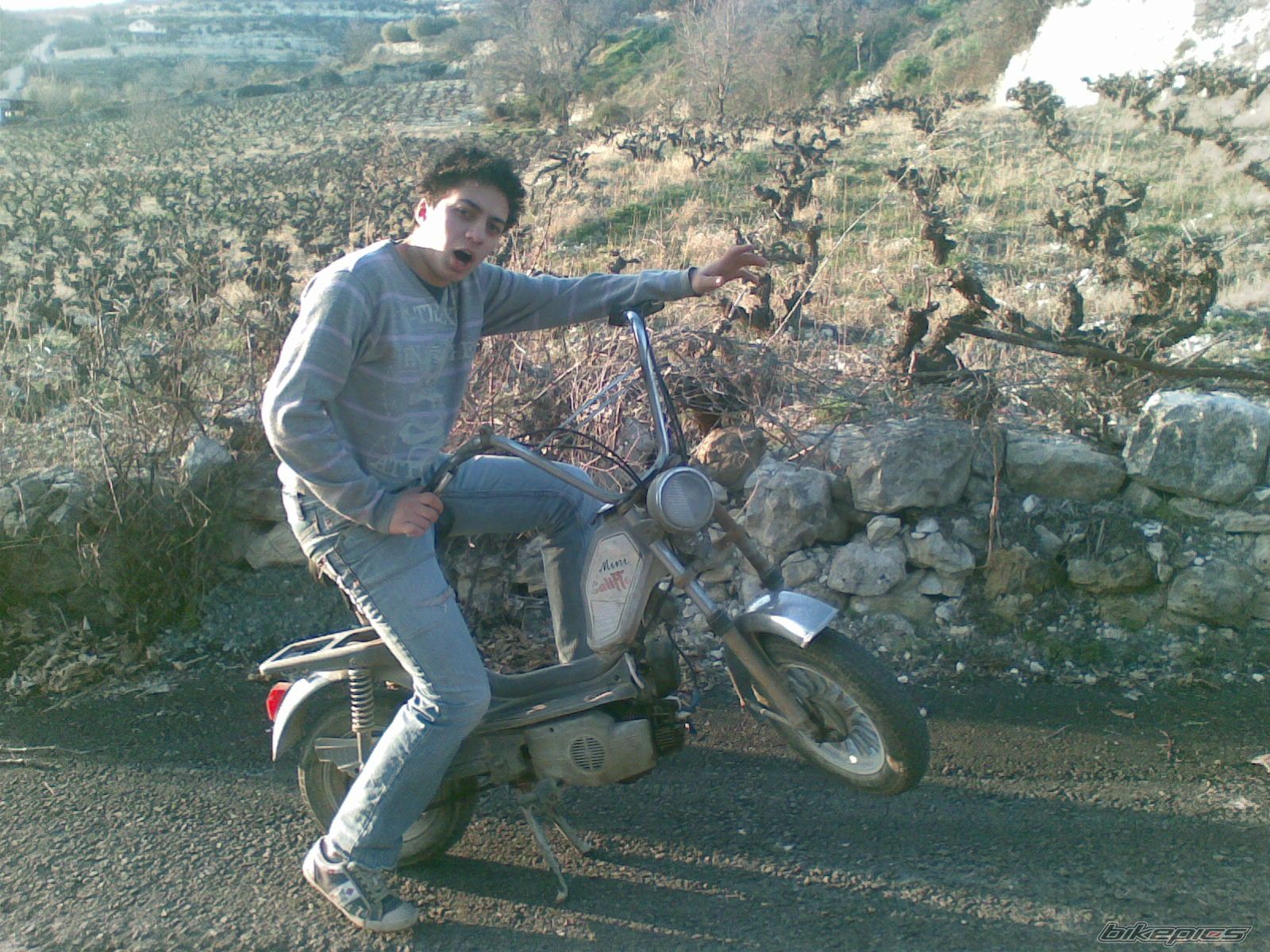 Photo 1429882