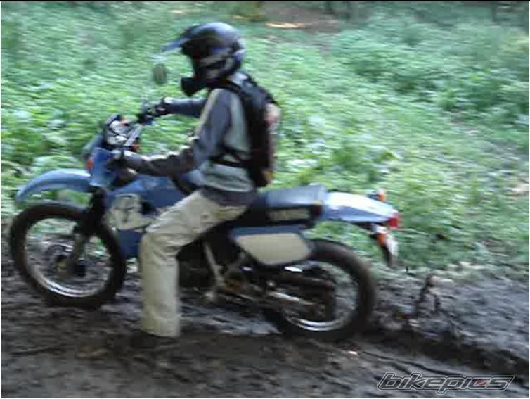Photo 1432035
