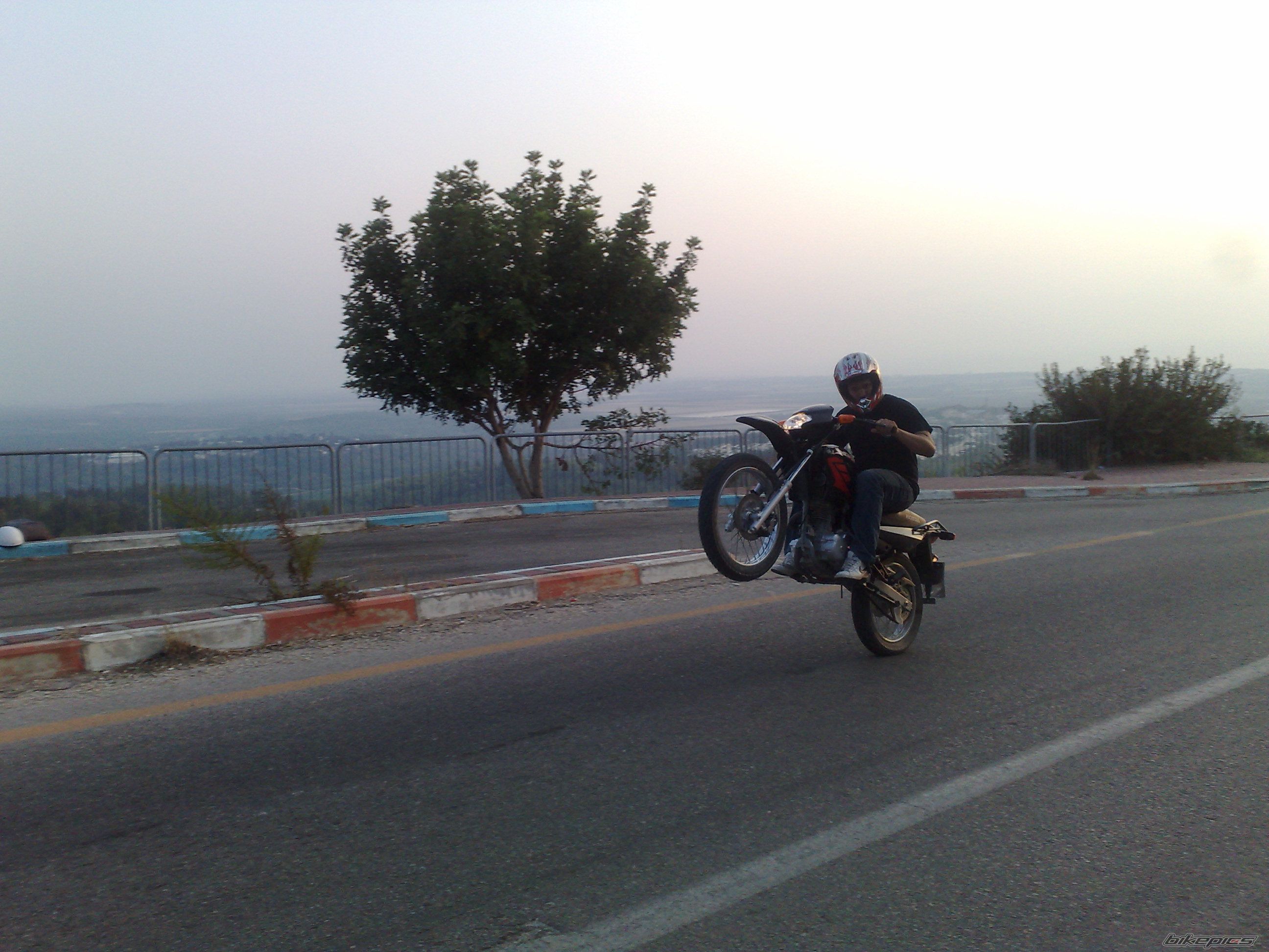 Photo 1432968