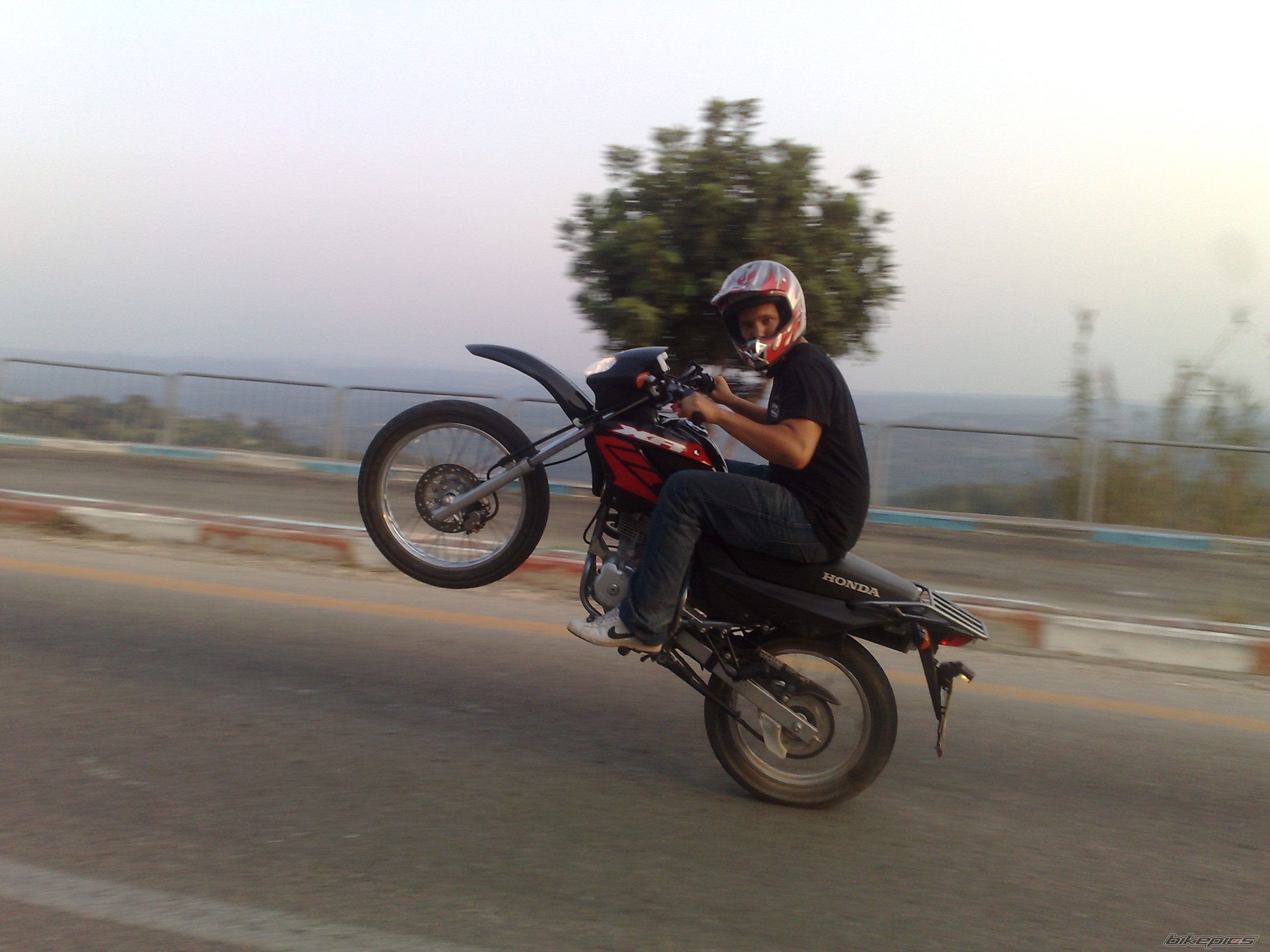 Photo 1432969